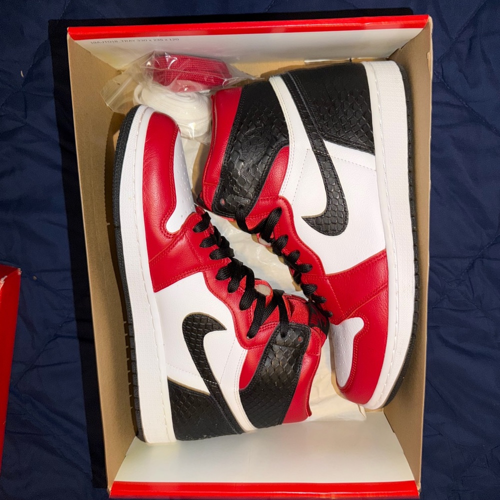 Jordan 1 stain snake Chicago